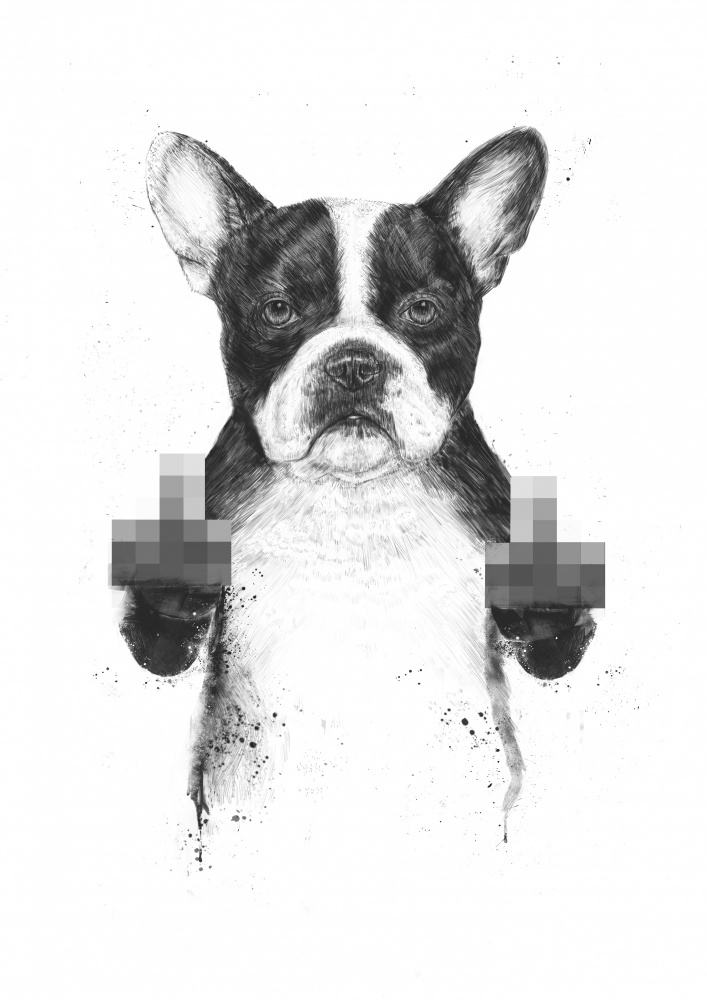 Censored dog von Balazs Solti