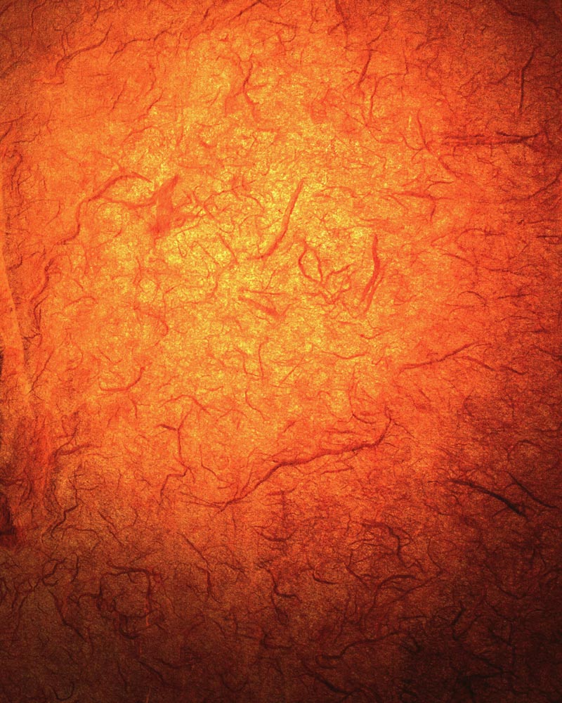 Mut von Sandra Baldauf