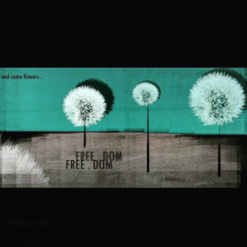 freedom von Sandra Baldauf