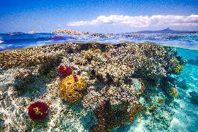 Mayotte: Das Riff