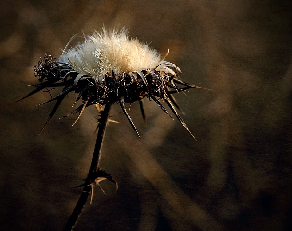 Bad von Barbara Orienti