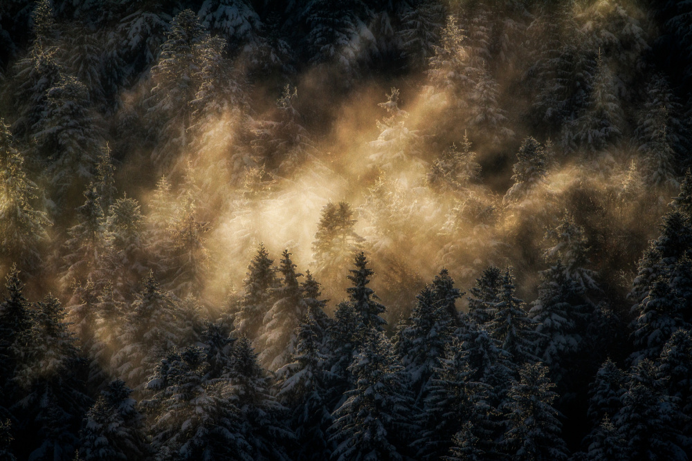 Foggy mountain ... von Barré Thierry