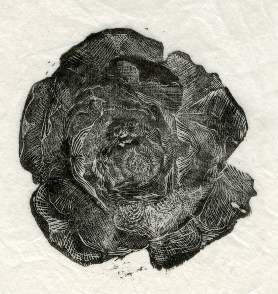 Pine Rose von Bella Larsson