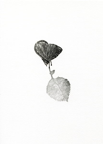 Suspense von Bella Larsson