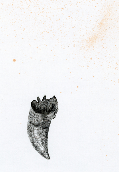 Tooth {Fay-erie Dust} von Bella Larsson