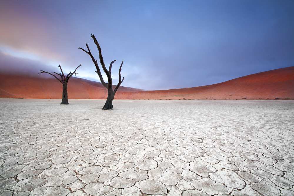 Mist over Deadvlei von Ben McRae