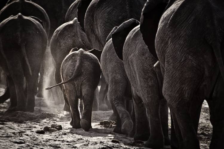 Walking Home von Ben McRae