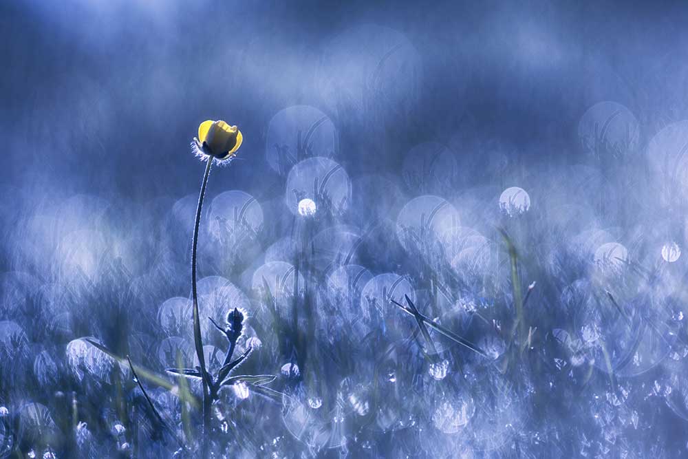 Blasenbad von Benjamine Hullot Scalvenzi