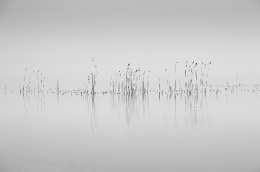 Simplicity von Benny Pettersson