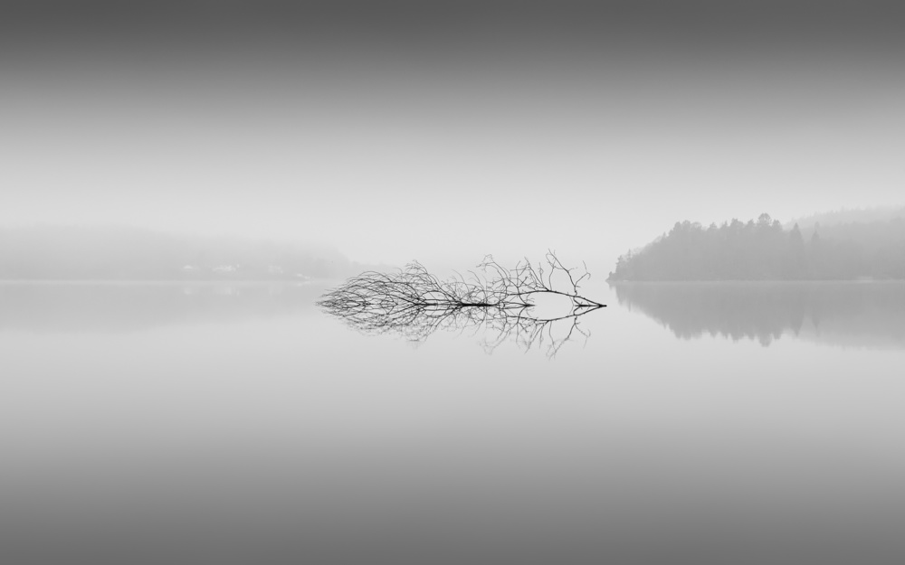 Fantasy von Benny Pettersson