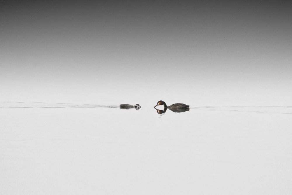 Treffen von Benny Pettersson