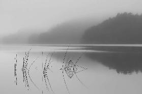 When you can hear the silence