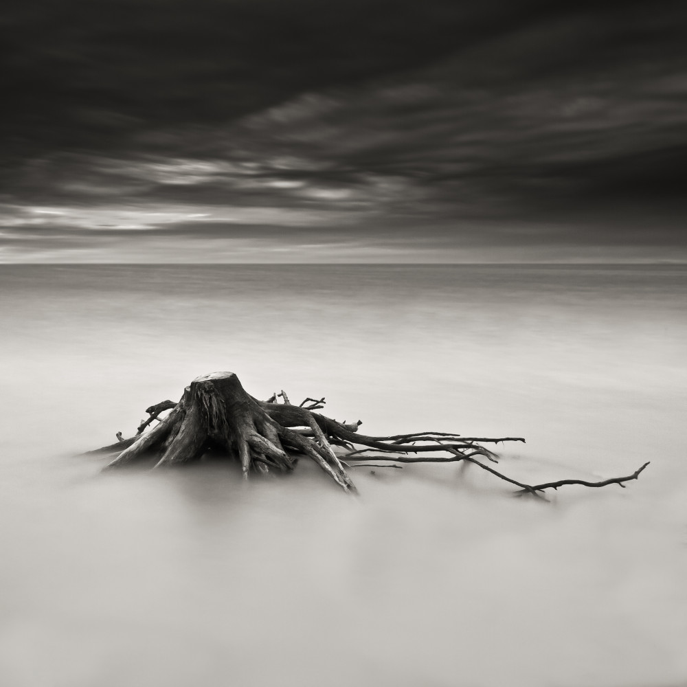 Immortel von Benoît Thierard