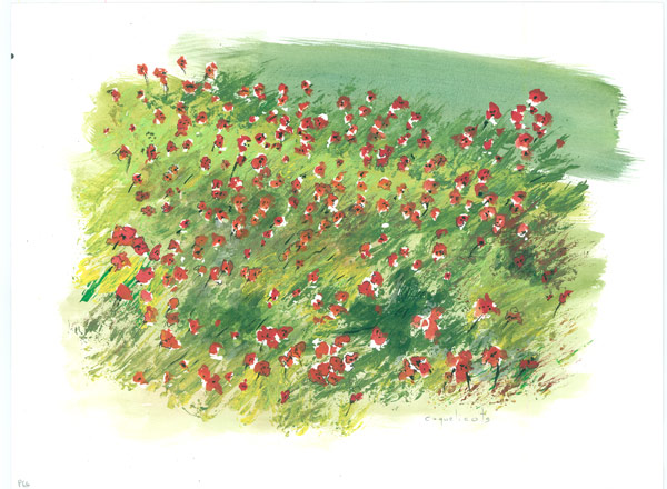 Les Coquelicots von Renot