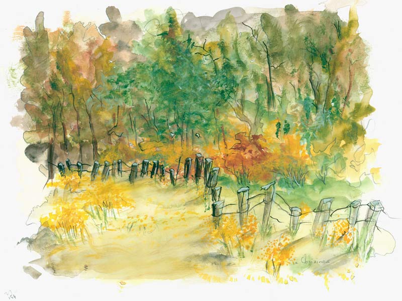 Le Choisines von Renot