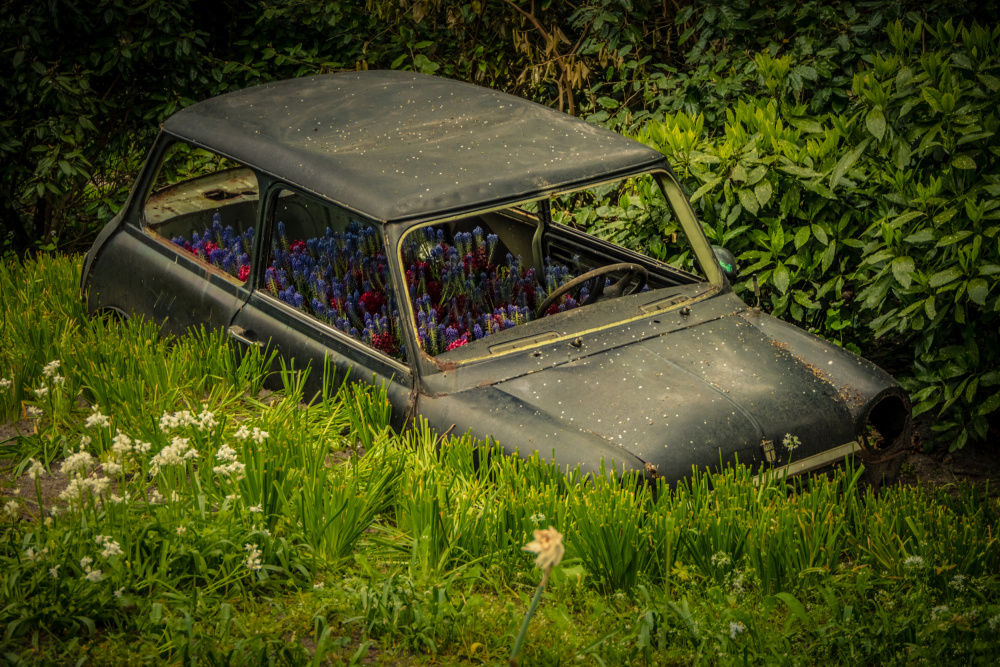 Blending in von Bernardine de Laat