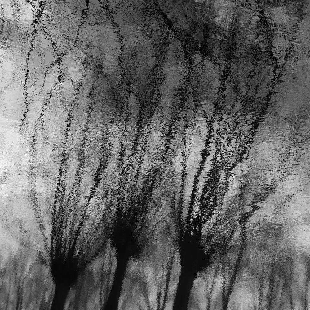 Fingers von Bernardine de Laat