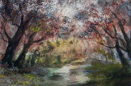 Irland - Wald von Bernhard Bömke