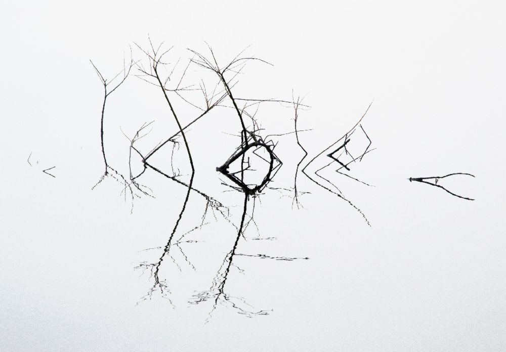 Zittern von Bernie Delaney