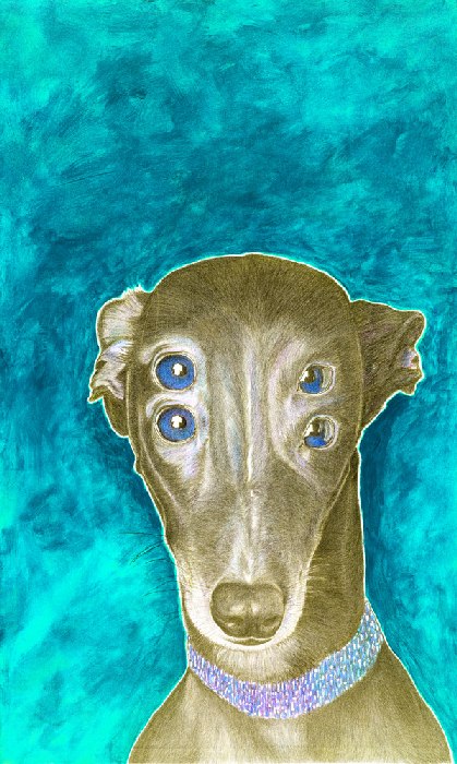 BIMBA IV. von Ralf Maximilian Berninger