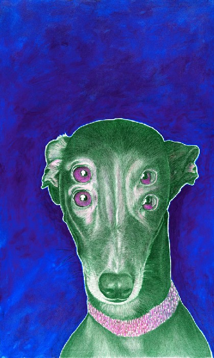 BIMBA VII. von Ralf Maximilian Berninger