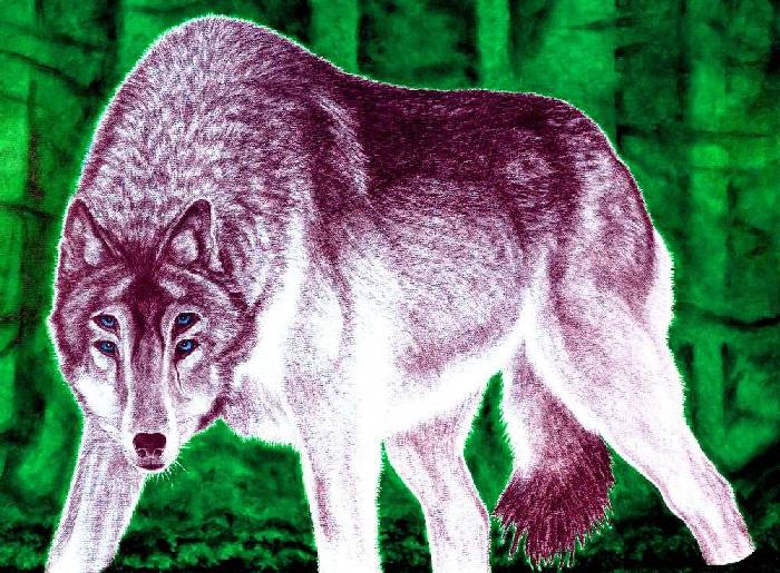 BASIC INSTINCT III. von Ralf Maximilian Berninger