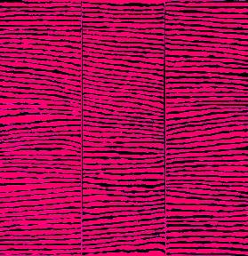 INSPIRATION DURCH HÖCHSTE MÄCHTE I. 5.