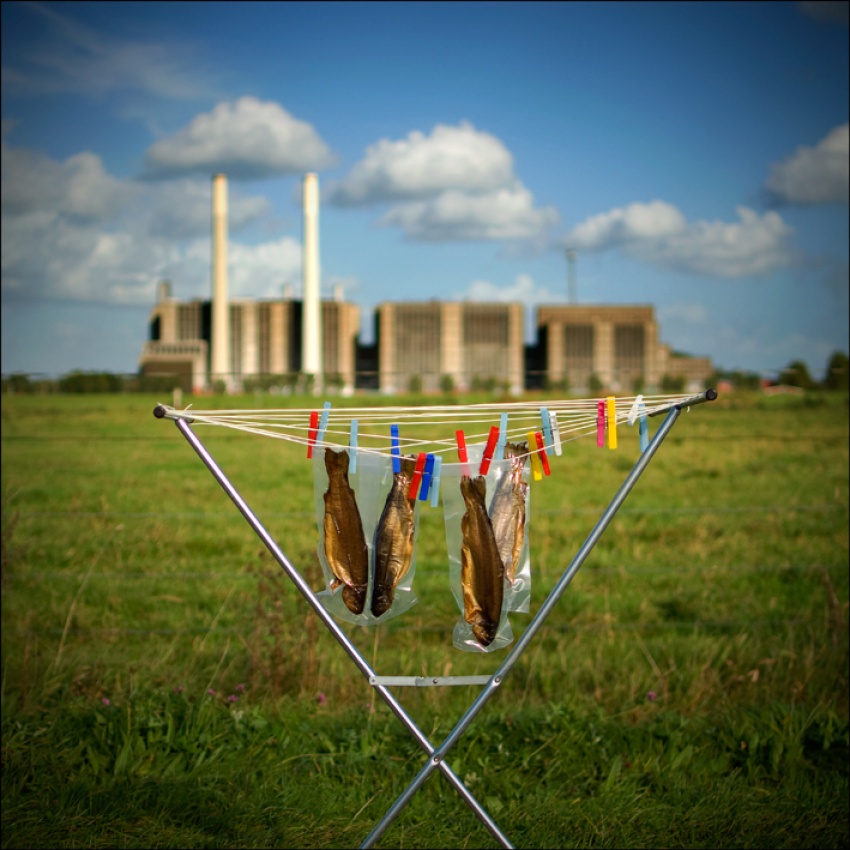 Sealed fish von Bert Hanekamp