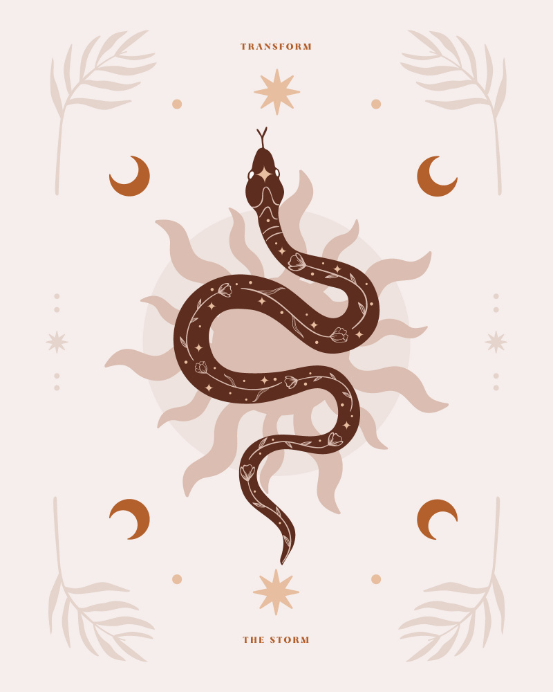 Snake Transform von Beth Cai