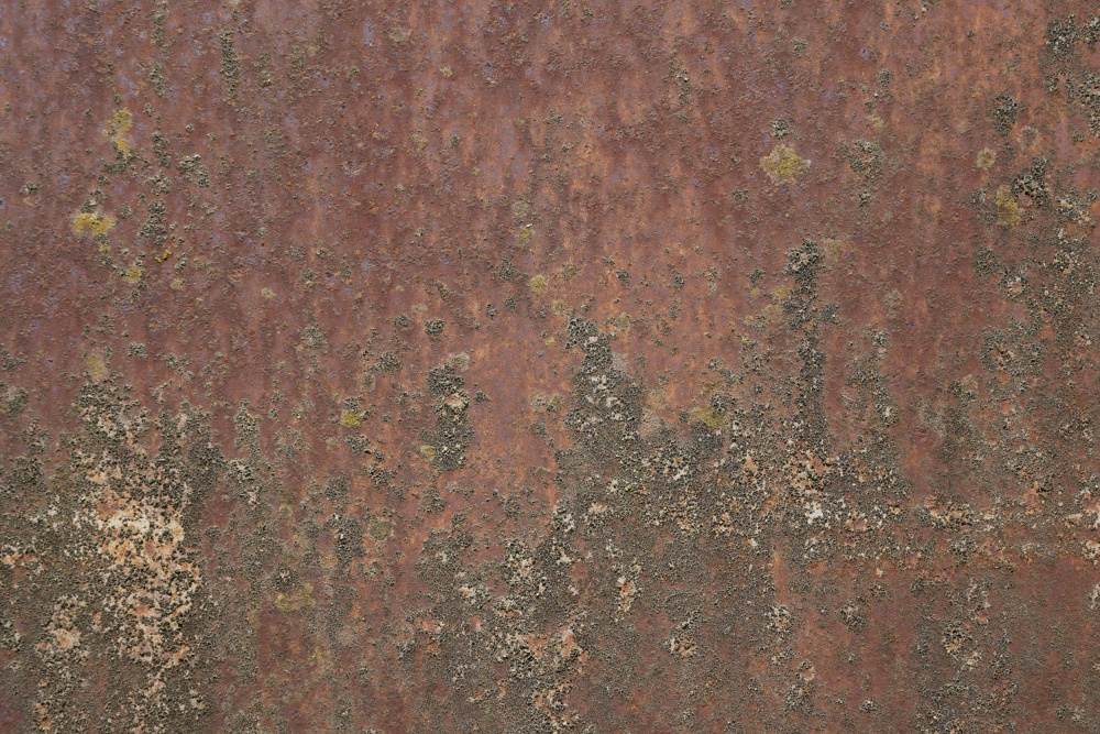 Rust 27 von Bilge Paksoylu