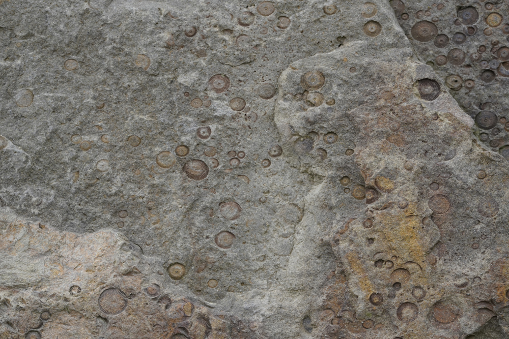 Tex Surface S26 von Bilge Paksoylu