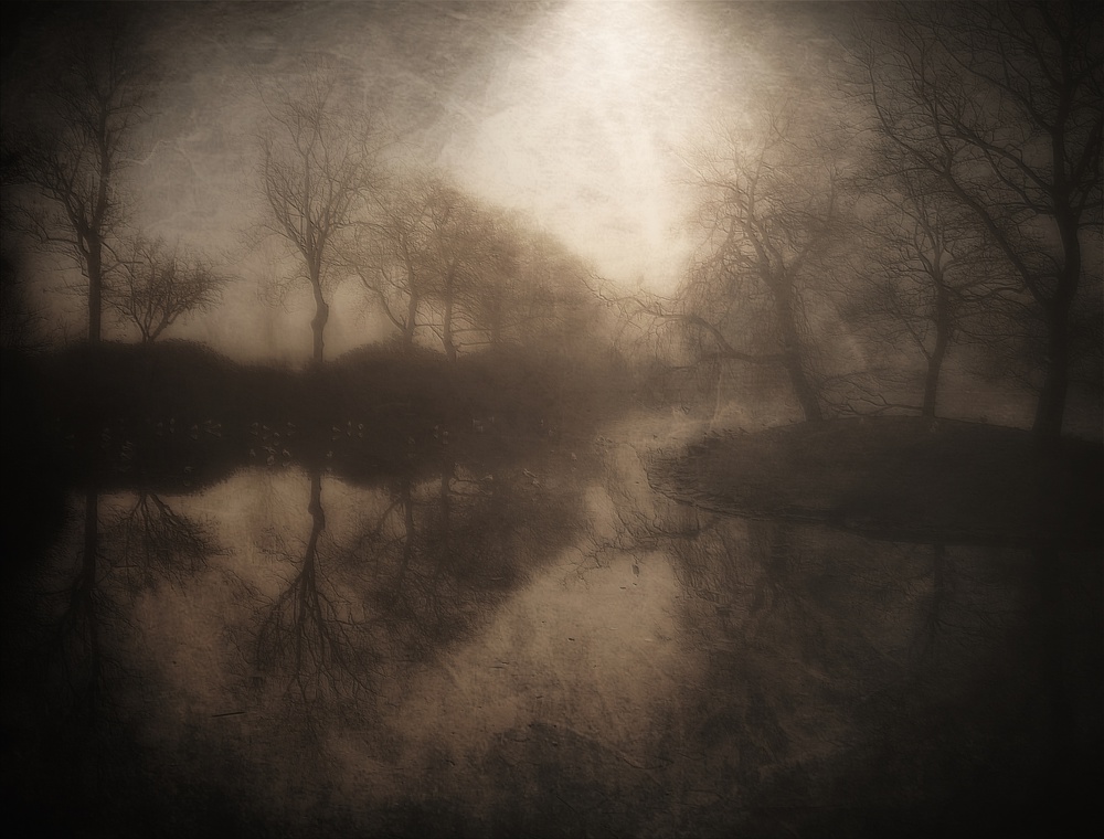 But soft, what light ........... von Bill Eiffert