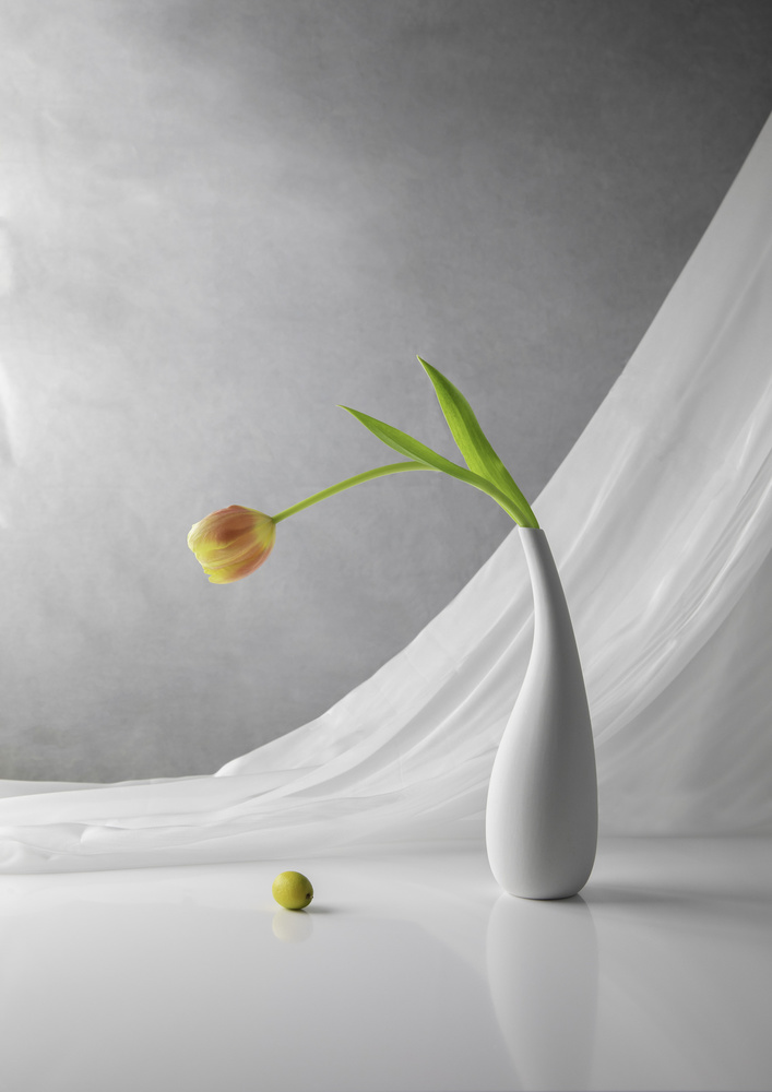 Simplicity von Binbin L.