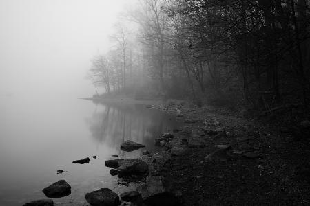 Foggy Lake