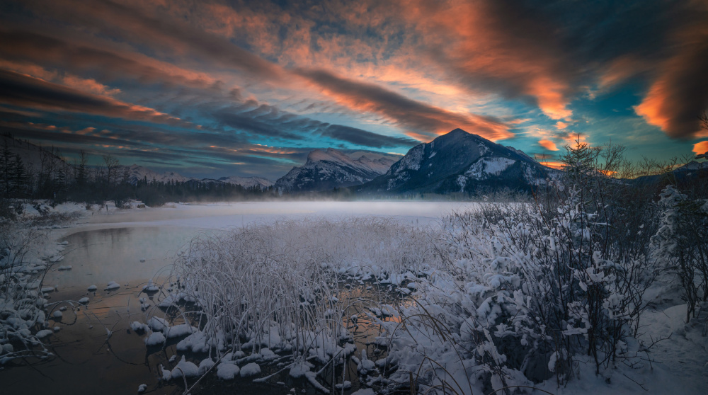 A warm morning in a cold winter day von Bing Li