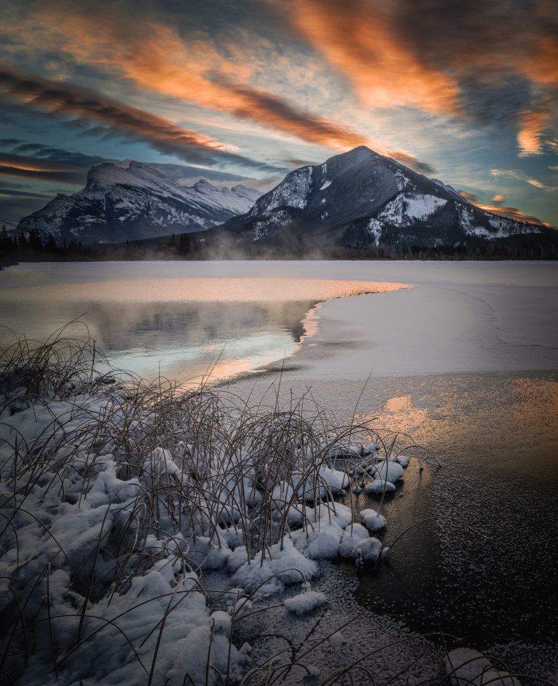 A winter morning von Bing Li