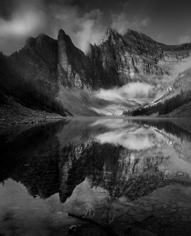 after a rain von Bing Li