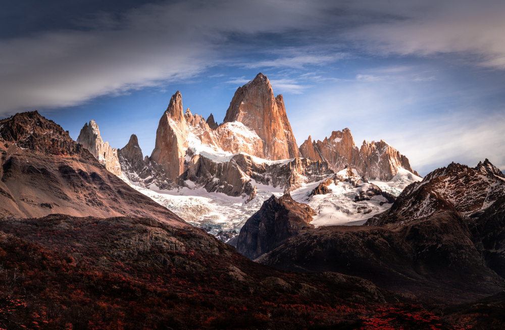 Morning glory von Bing Li