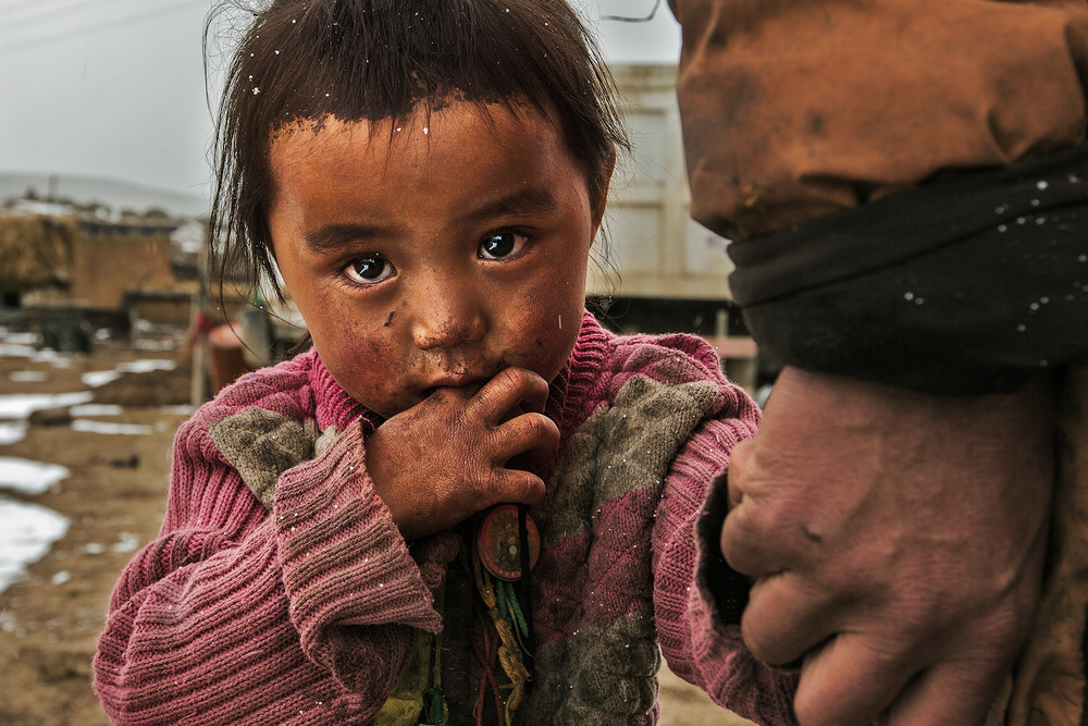 The girl von Bingo Z