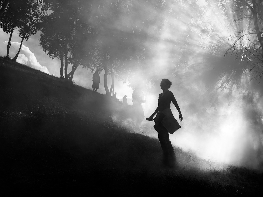 Dense fog von Bingo Z