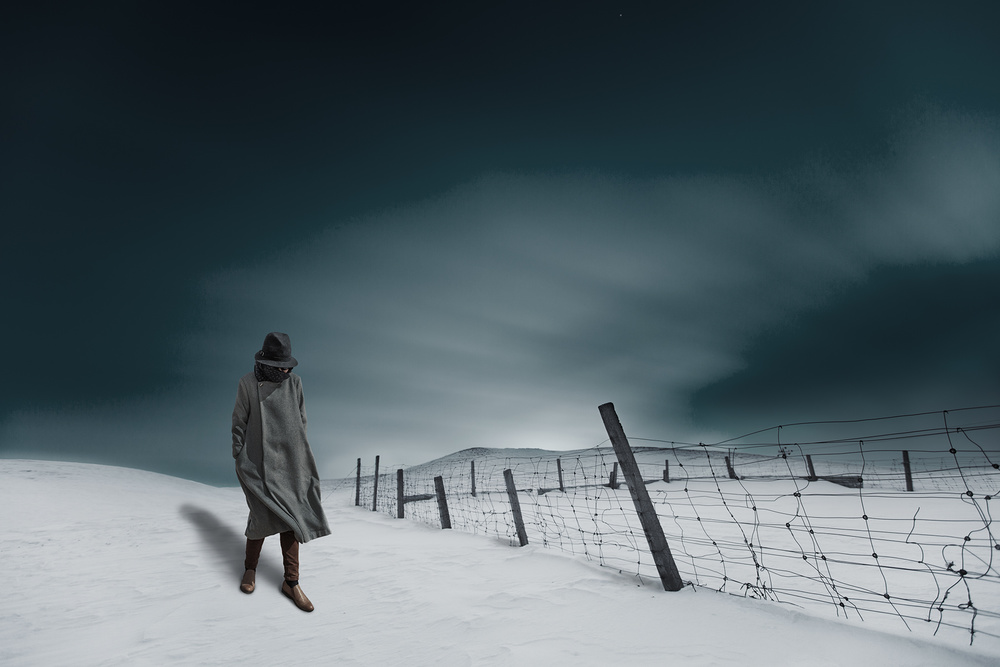 A cold wind von Bingo Z