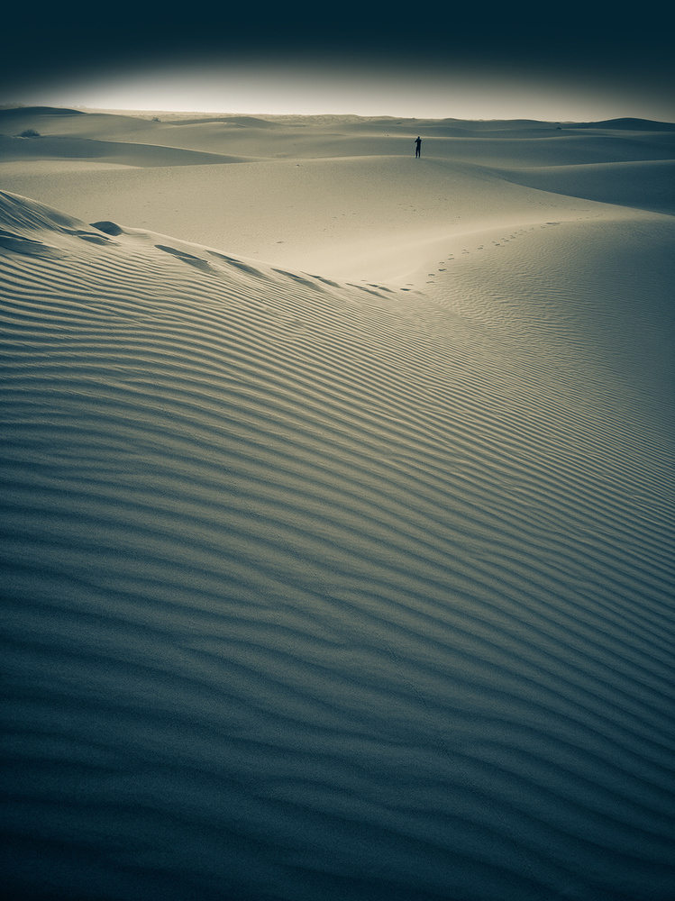 Light in the desert von Bingo Z