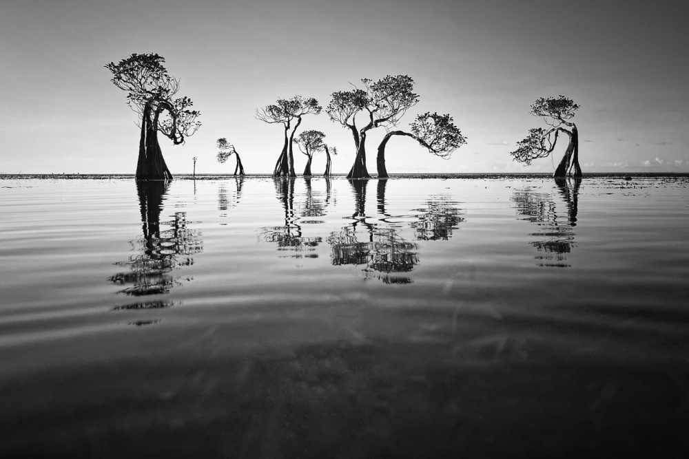 untitledl von Bingo Z