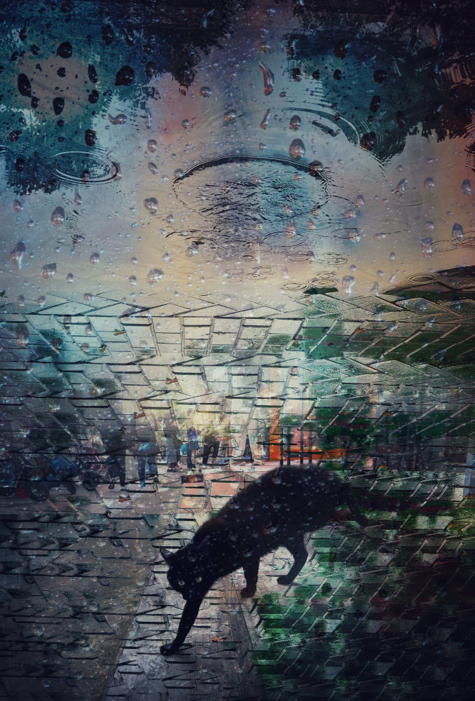 Interpretation of dreams von Bingo Z