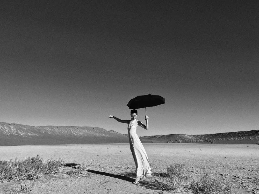 wilderness von Bingo Z