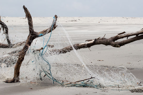 Punta Chame Netze (Panama) von Birge George