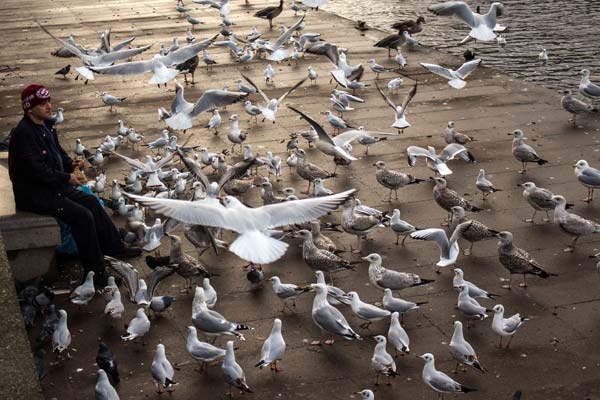 Moewen (Hamburg) von Birge George