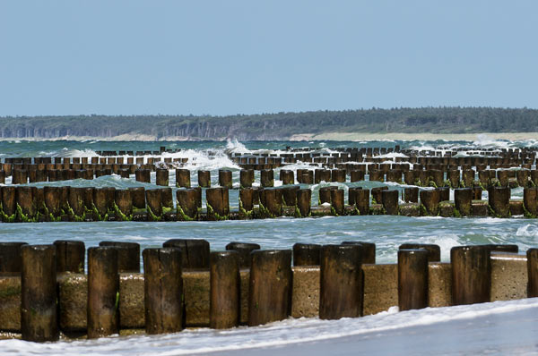 Strand (Darss) von Birge George
