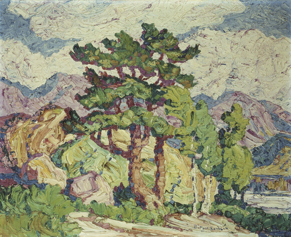 Aspens and Pines, Estes Park, Colorado von Birger Sandzen