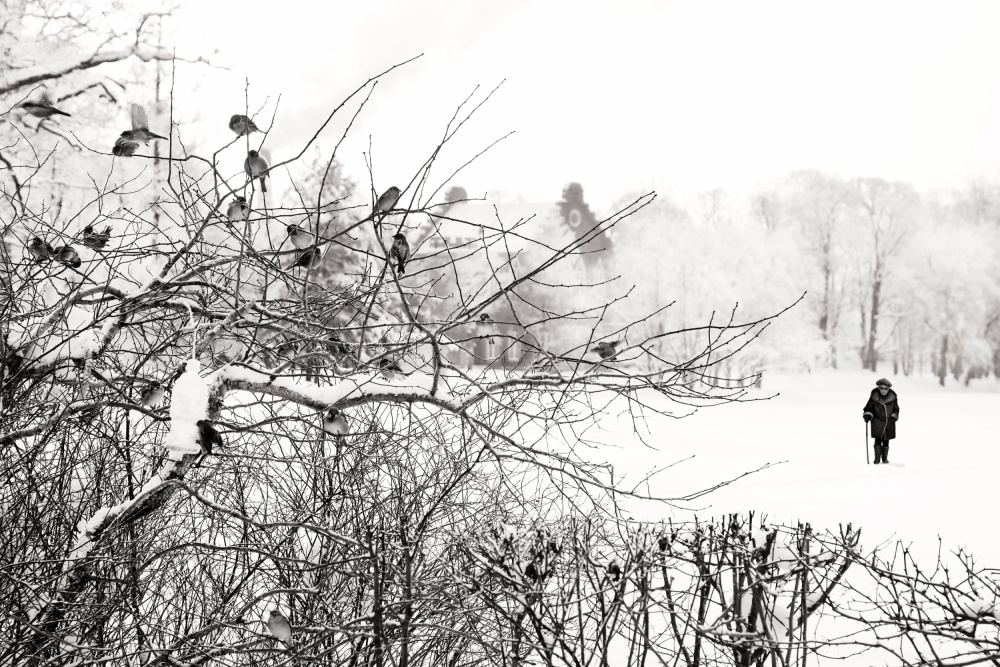 Companies von BJ Yang